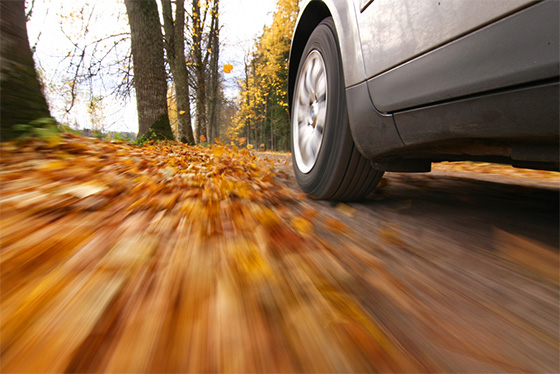 Conducir en otoño